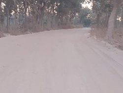 Blora Dikepung Tambang Rembang: Warga Dapat Debu dan Bau Menyengat, Serta Jalan Rusak!