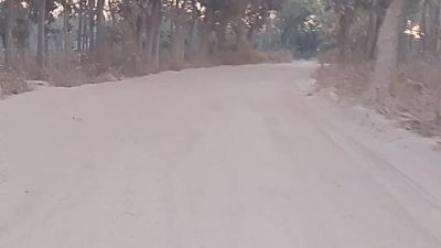 Blora Dikepung Tambang Rembang: Warga Dapat Debu dan Bau Menyengat, Serta Jalan Rusak! 13 TUTURPEDIA - Blora Dikepung Tambang Rembang: Warga Dapat Debu dan Bau Menyengat, Serta Jalan Rusak!