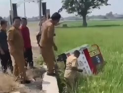 Gas Nyantol, Sopir Loncat! Kendaraan Roda Tiga Milik KDMP “Kabur Sendiri” Nyemplung Sawah di Klaten