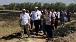 Sawah Pati Retak Dihantam Kekeringan, 4.000 Hektare Lahan Pertanian Terancam 6 TUTURPEDIA - Sawah Pati Retak Dihantam Kekeringan, 4.000 Hektare Lahan Pertanian Terancam