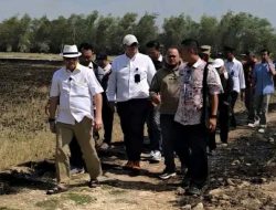 Sawah Pati Retak Dihantam Kekeringan, 4.000 Hektare Lahan Pertanian Terancam