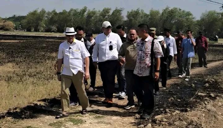 TUTURPEDIA - Sawah Pati Retak Dihantam Kekeringan, 4.000 Hektare Lahan Pertanian Terancam