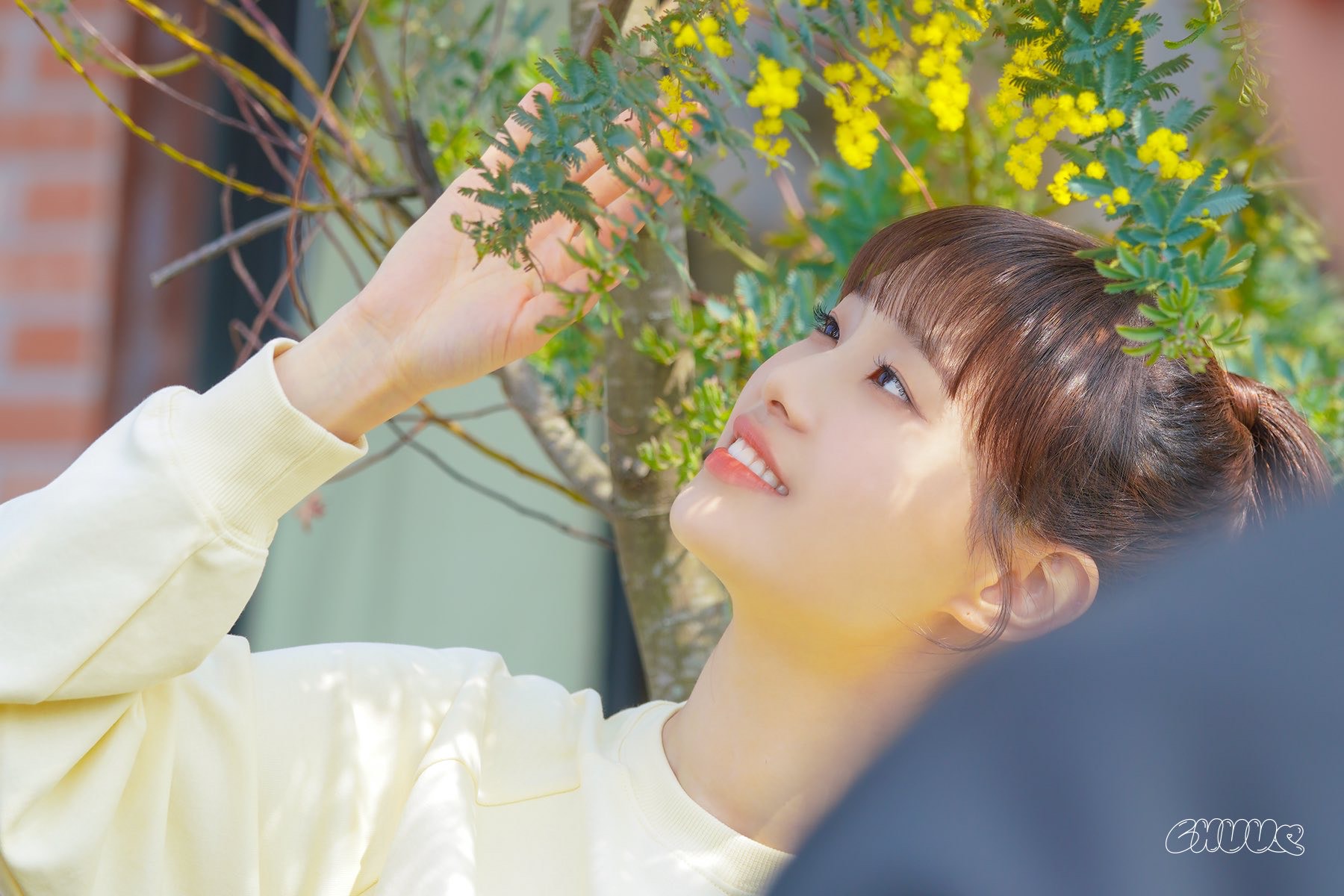 Resmi Berkarier Solo, Ini Dia Nama Fanclub dan Lighstick Chuu! Foto: Twitter @chuu_atrp