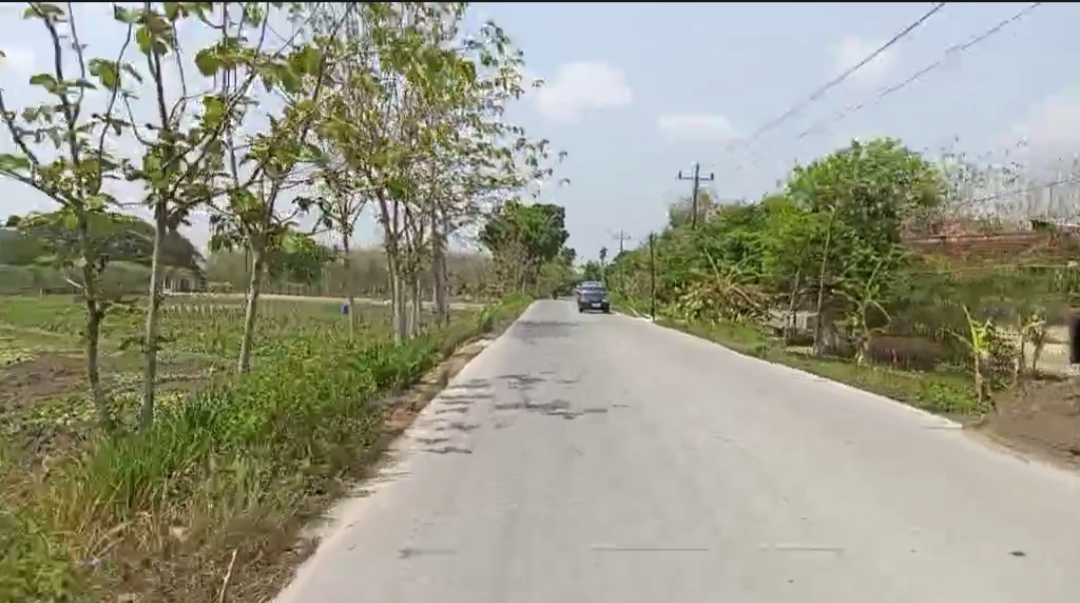 Masyarakat Blora, khususnya Kecamatan Banjarejo, keluhkan minimnya penerangan jalan. Foto: Dok. CR