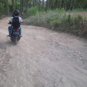 Galian C Sebabkan Rusaknya Ruas Jalan hingga Warga Desa Suko Alami Masalah Kesehatan