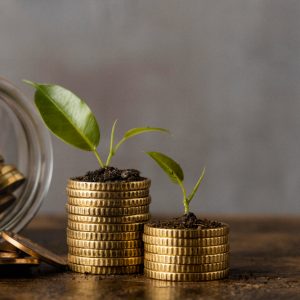 Investasi Lima Tahun ke Depan di Kota Semarang Diprediksi Masih Menjanjikan