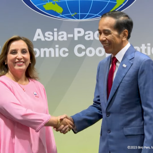 Indonesia dan Peru Tingkatkan Kerja Sama di Bidang Perdagangan dan Investasi