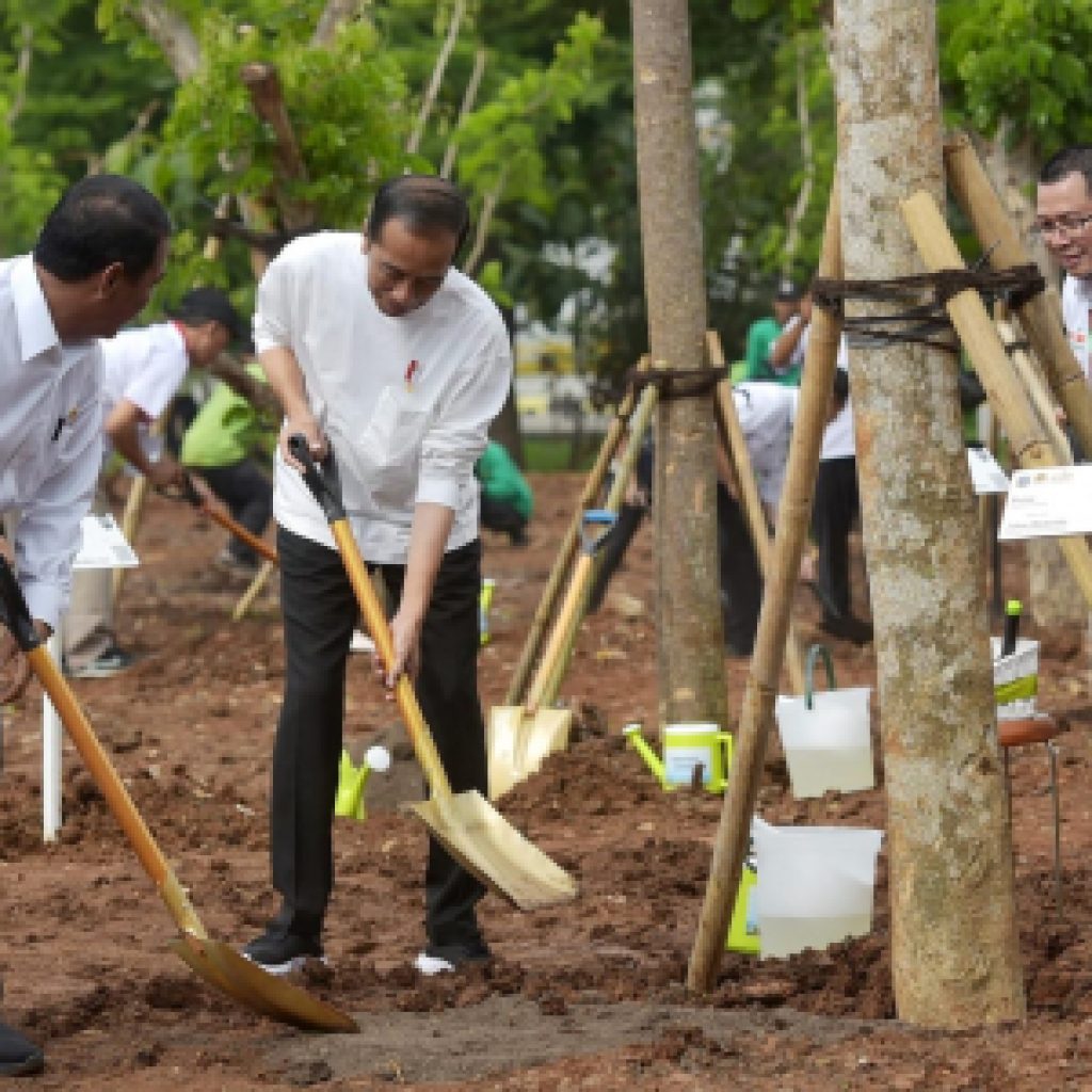 Mentan Amran bersama Presiden Jokowi hadiri gerakan tanam pohon bersama. Foto: Laman Kementan