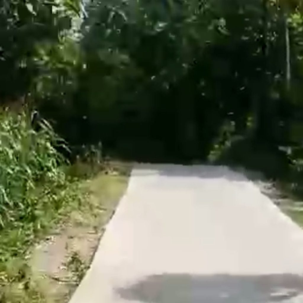 Kondisi jalan di Desa Ketringan tanpa penerangan jalan. Foto: Tangkapan Layar Lilik Yuliantoro