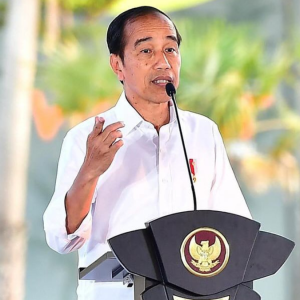 Tanggapi Anggaran Upacara HUT RI yang Membengkak, Presiden Jokowi Sebut Wajar