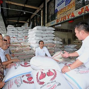 Tinjau Stok Beras di Pasar Induk Cipinang, Jokowi: Melimpah!
