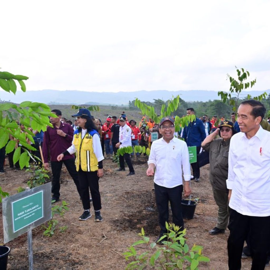 Jokowi tinjau penghijauan di IKN, upaya untuk membangun hutan hujan tropis. Foto: Laman Setkab