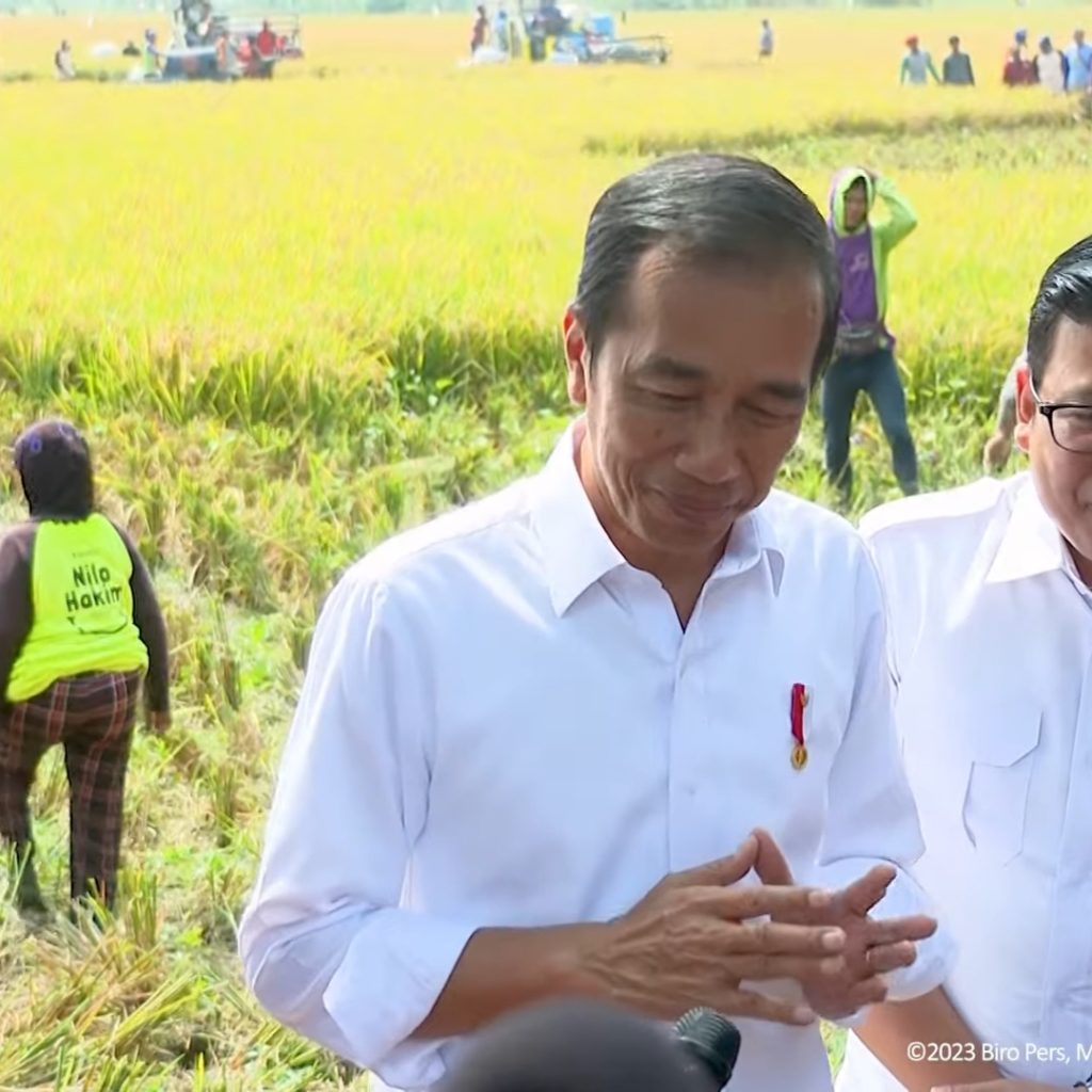 Jokowi tinjau panen padi di Indramayu untuk pastikan stok pangan aman. FOTO: Tangkapan Layar YouTube Sekretariat Presiden