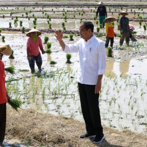 Kunjungan ke Jateng, Jokowi Minta Petani Segera Tanam Padi dan Sebut Masalah Pupuk