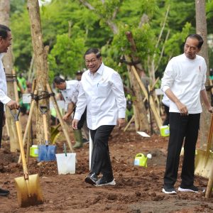 Atasi Polusi di Jabodetabek, Jokowi Ajak Masyarakat untuk Menanam Pohon