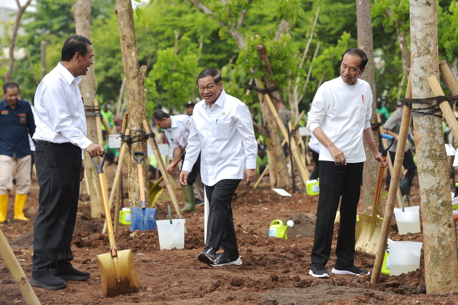 Jokowi ajak masyarakat menanam pohon di lingkungan masing-masing. Foto: Laman Setkab
