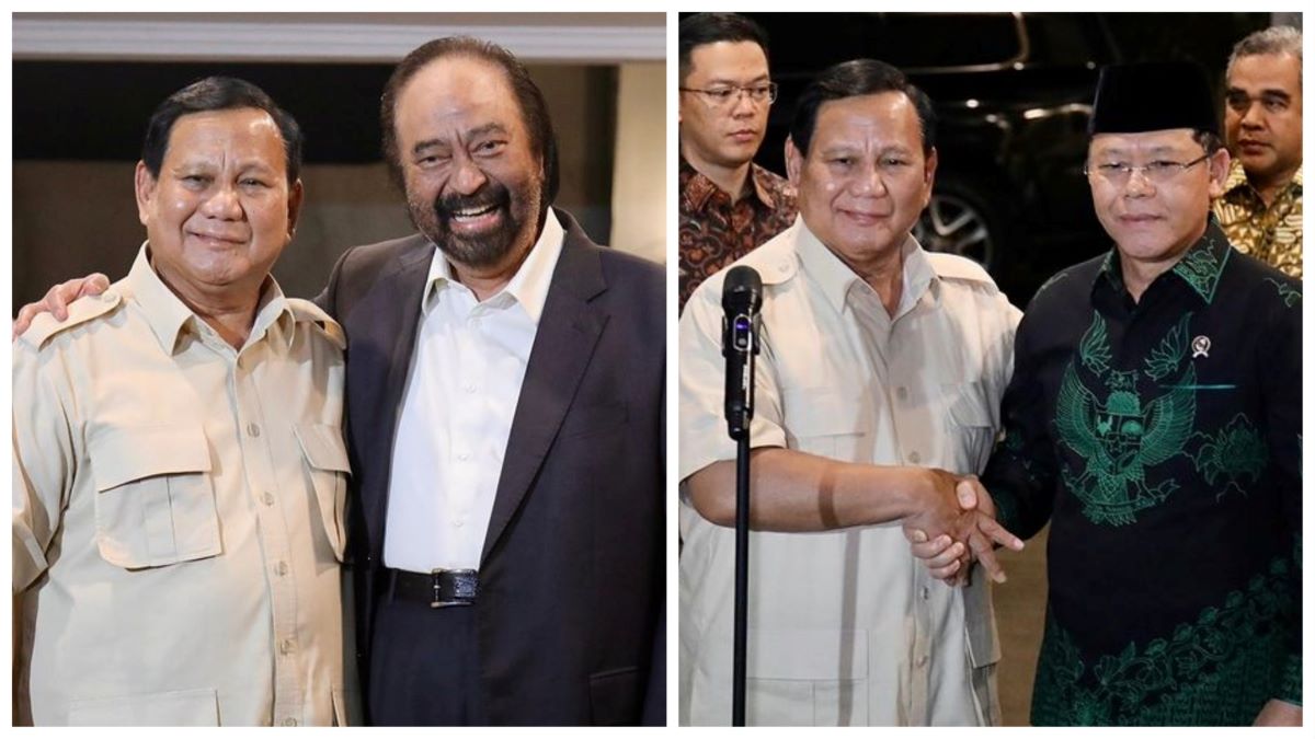 NasDem, PPP, dan Perindo putuskan gabung koalisi Prabowo-Gibran. Foto: instagram.com/sufmi_dasco