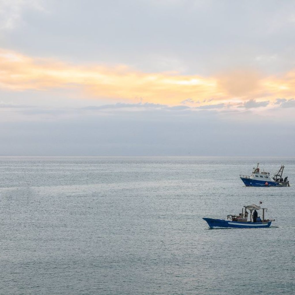 WNA Taiwan yang Hilang di Pulau Seribu masih belum ditemukan. Foto: freepik.com/wirestock