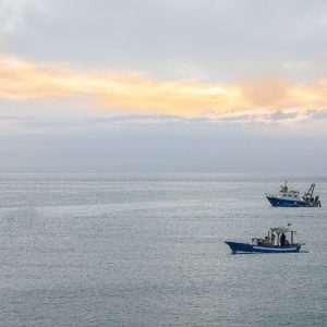 Hari Ketiga, Tim Gabungan Masih Lakukan Pencarian WNA Taiwan yang Hilang di Pulau Seribu