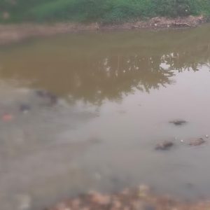 Penemuan 7 Jenazah di Kali Bekasi Gegerkan Warga! Saksi Sebut Anggota Komunitas