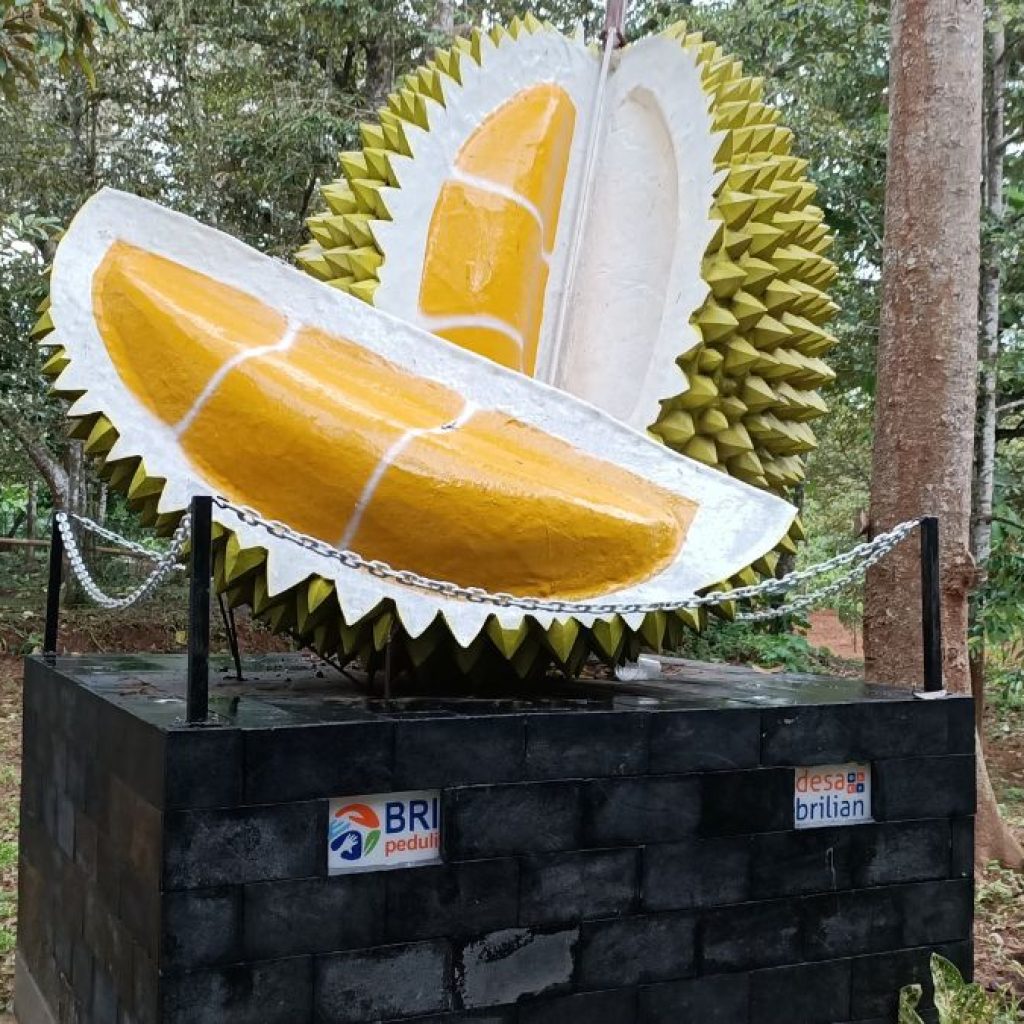 TUTURPEDIA - Kampung Durian Nglawungan, Rekomendasi Wisata Terbaik untuk Dikunjungi di Blora