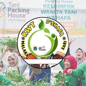 Kelompok Wanita Tani D’Shafa Raih Omzet Hingga 125 Juta per Bulan Berkat Smart Farming