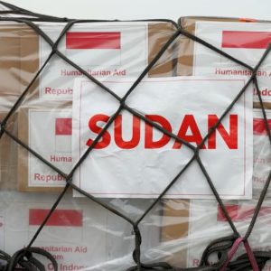 Bantuan dari Indonesia untuk Palestina dan Sudan Sejumlah Rp30 Miliar, Begini Perinciannya