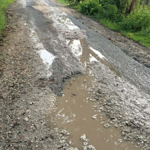 Dampak Pembangunan Jembatan Badong, Dua Jalur Alternatif di Jepangrejo Rusak Parah