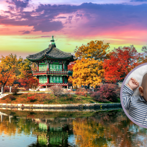 Korea Selatan Beri Dukungan Finansial Rp350 Juta Bagi Bayi yang Lahir di 2024