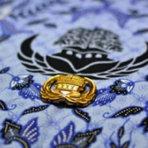 Tenaga Honorer Dihapus Per 28 November 2023, Bakal Ada PHK Massal?