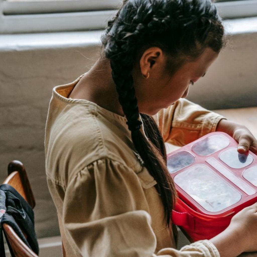 Dokter gizi turut memberikan saran untuk menu pada program makan siang gratis. Foto: pexels.com/katerina-holmes
