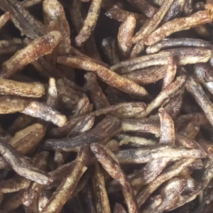 Dijamin Enak! 5 Rekomendasi Makanan Khas Pacitan yang Bisa Jadi Oleh-oleh untuk Keluarga