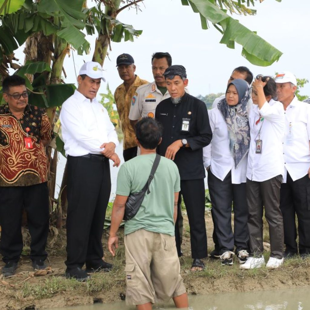 Terima Bantuan Rp175 Miliar dari Pemerintah untuk Petani Terdampak Banjir, Pemprov Jateng: akan Segera Didistribusikan 