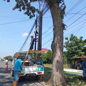 PLN Menjamin Ketersediaan Listrik selama Idul Adha 2024 Aman dan Andal