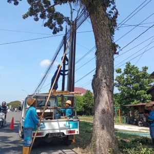 Besok Ada Pemadaman Listrik di Wilayah Kabupaten Blora, Berikut Jadwalnya 