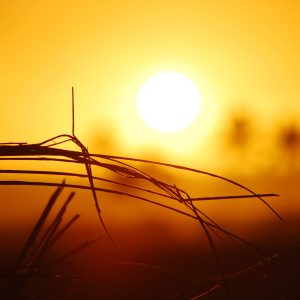 Sebagian Wilayah di Indonesia Alami Suhu Panas Terik, Ini Penjelasan BMKG