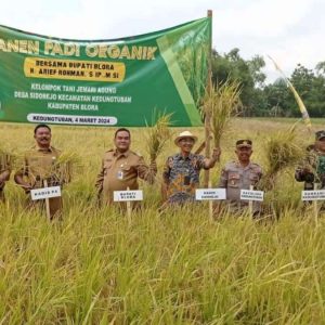 Sistem Pertanian Hayati Ramah Lingkungan Berkelanjutan di Blora Tembus Hasil 9,6 Ton