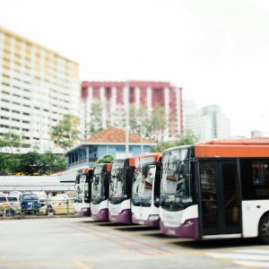 Lebaran Sebentar Lagi, Pemkot Bogor Gelar Mudik Gratis! Cek Informasi Lengkapnya di Sini