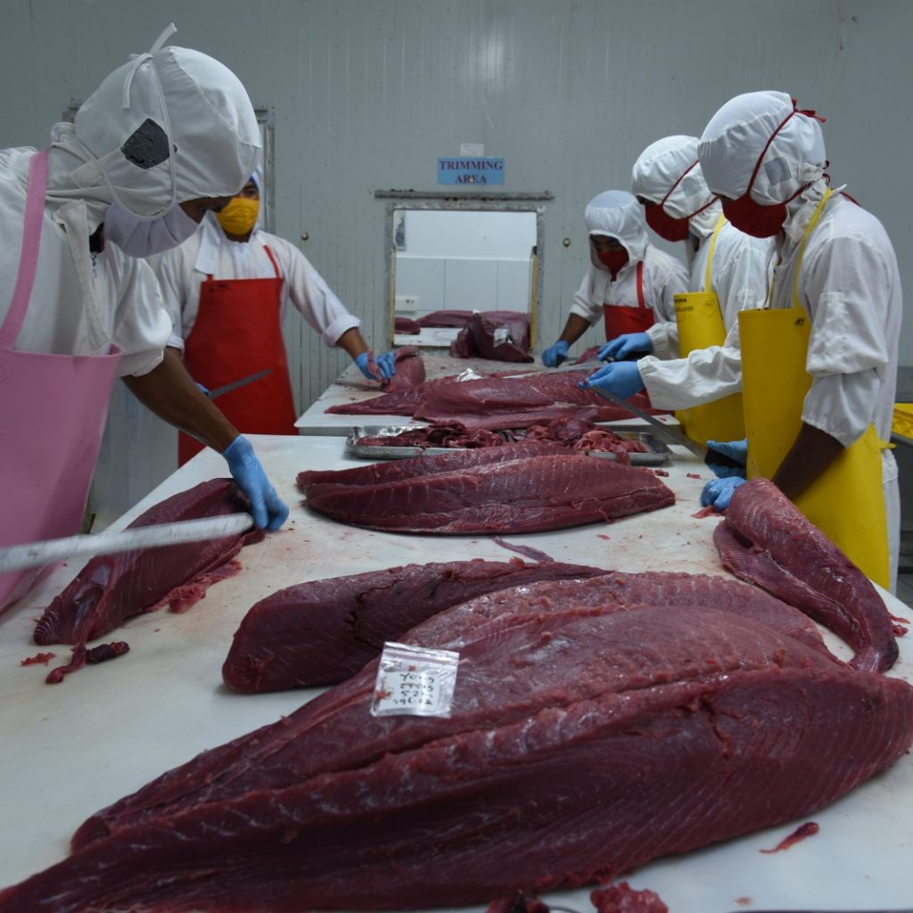KKP perkuat daya saing tuna dengan pencanangan tahun tuna 2024. Foto: Laman KKP