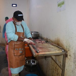 Bangga! 9 Kecamatan di Cilacap Ini Terpilih Jadi Percontohan Pengelolaan Ikan Sidat Berkelanjutan