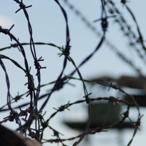 Israel-Lebanon Memanas, ACLED Catat 7.400 Serangan Lintas Batas antar Negara Telah Terjadi