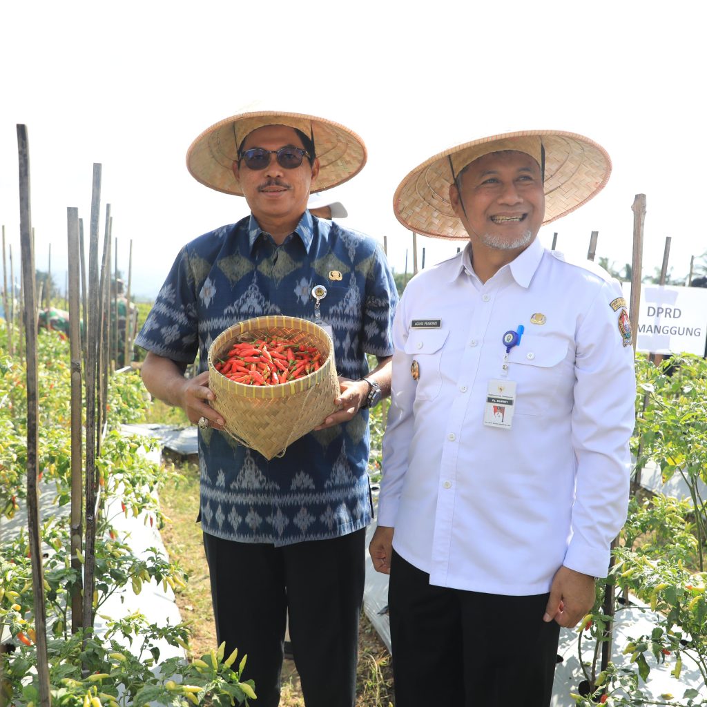 Pj Gubernur Jateng, Nana Sudjana optimis harga cabai turun. Foto: Humas Pemprov Jateng