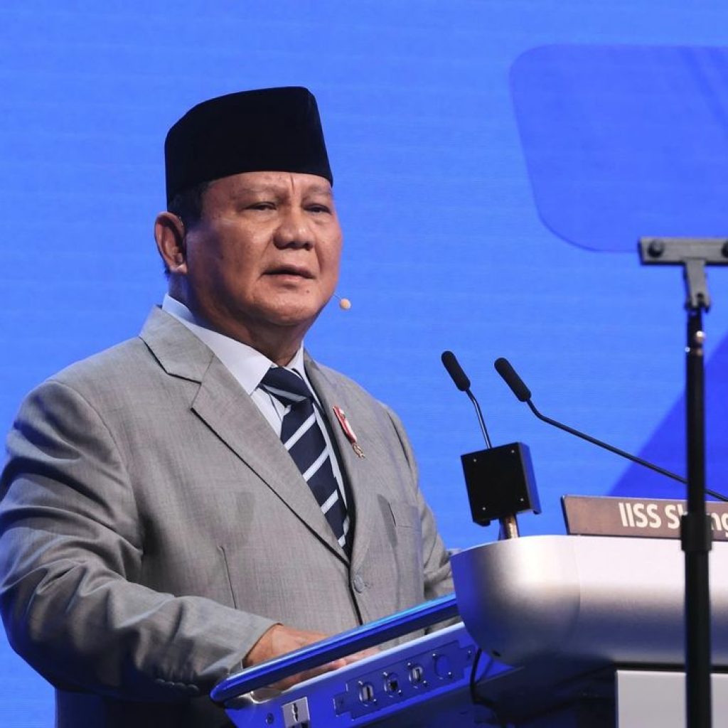 Puan Maharani menyatakan peluang PDIP bergabung dalam Pemerintahan Prabowo Subianto. Foto: instagram.com/prabowo
