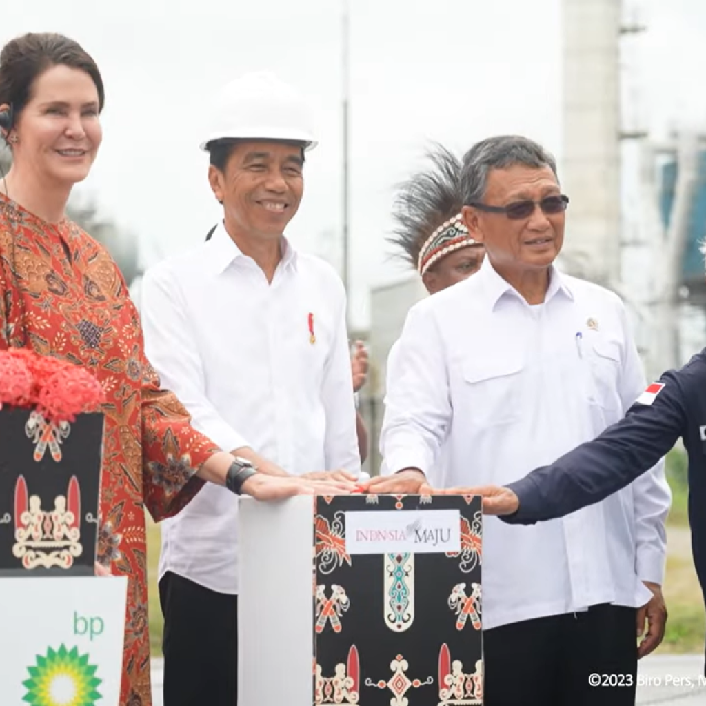 Jokowi resmikan proyek strategis nasional (PSN) di Papua. Foto: Tangkapan layar YouTube Sekretariat Presiden