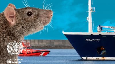 TUTURPEDIA - Waspada Hantavirus: Ancaman Senyap dari Tikus yang Bisa Berujung Fatal, Ini Cara Penularan dan Langkah Pencegahannya