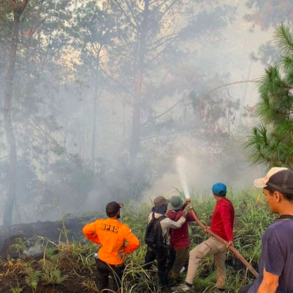 Kebakaran hutan Gunung Merbabu. Foto: Instagram.com/merbabuviasuwanting