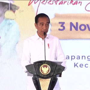 Jokowi Sebut Pembangunan Fisik di IKN Seharusnya Diimbangi dengan Pembangunan SDM dan Pelestarian Budaya