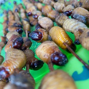 Viral! Anak SD Bawa Bekal dengan Lauk Ulat Sagu, Netizen Soroti Sikap Sang Guru