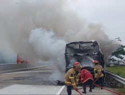 Bus Berlian Jaya Terbakar di Tol Kendal, 13 Penumpang Selamat