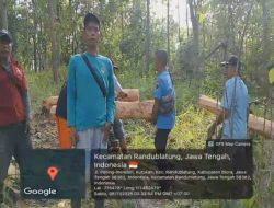 Pencuri Kayu Jati Beraksi di Randublatung, KTH Mulyo Raharjo Amankan Barang Bukti